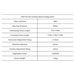 WSX KC15A 2000W Fiber Lazer Kesim Kafası