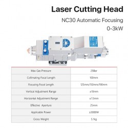 WSX NC30 3000W Fiber Lazer Kesim Kafası